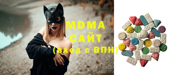 индика Волоколамск