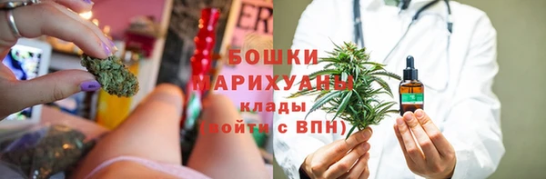 индика Волоколамск