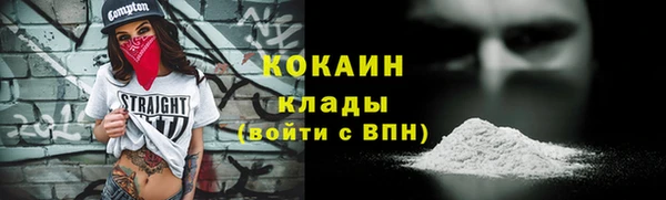 индика Волоколамск