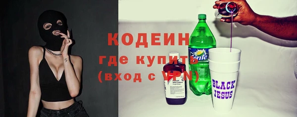 гашик Верея