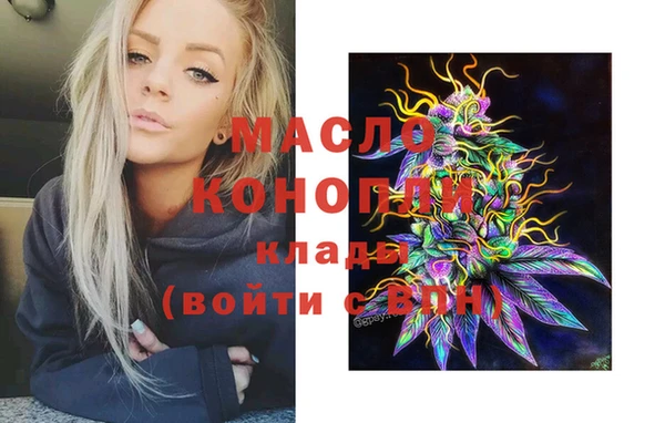 индика Волоколамск