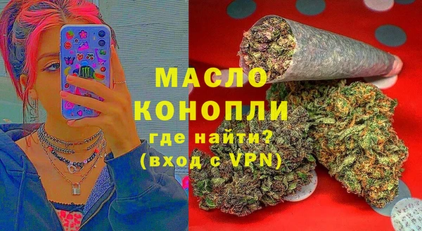 индика Волоколамск