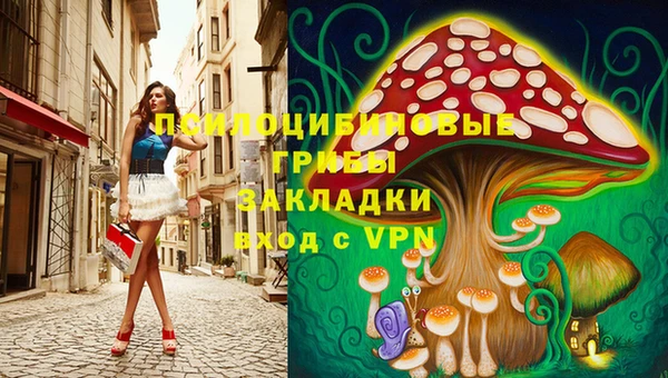 a pvp Володарск