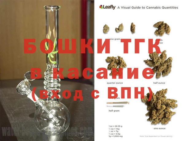 индика Волоколамск