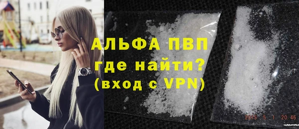 индика Волоколамск