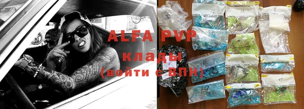 индика Волоколамск