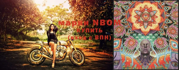 индика Волоколамск