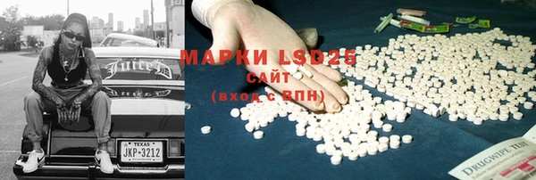 индика Волоколамск