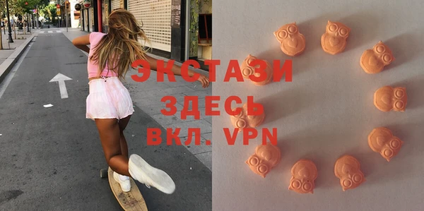 индика Волоколамск