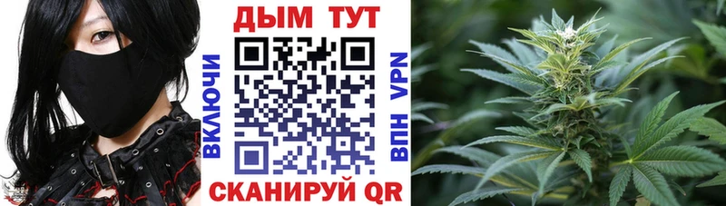 Каннабис гибрид  Заволжск 